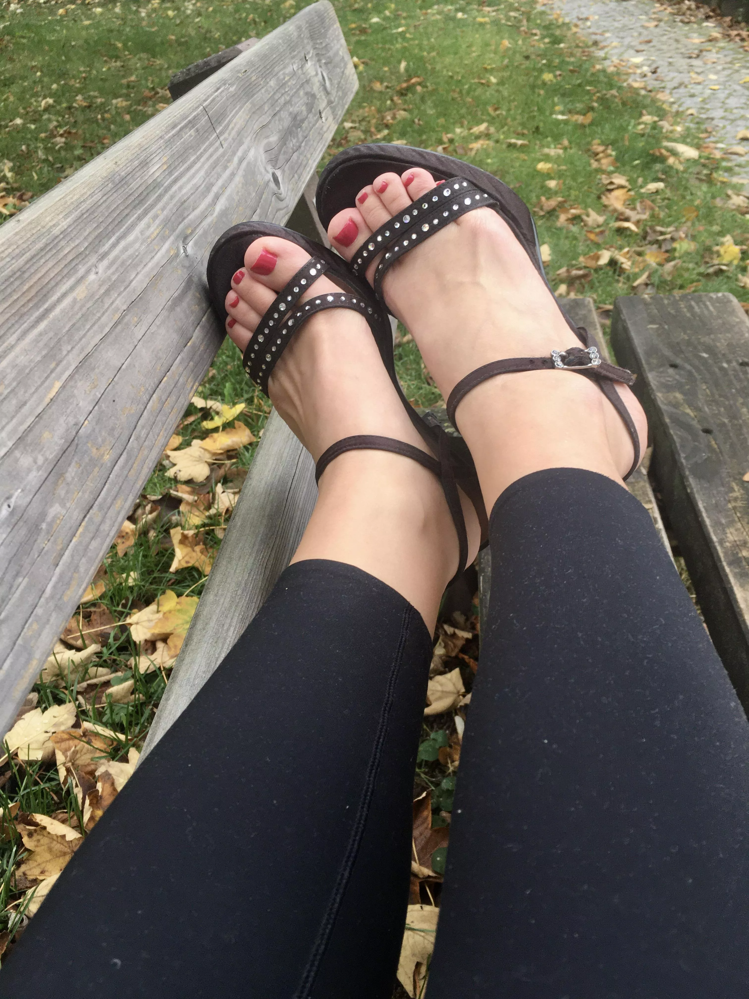 Hi! Do you like them? 🐶 posted by AnnabellAnders