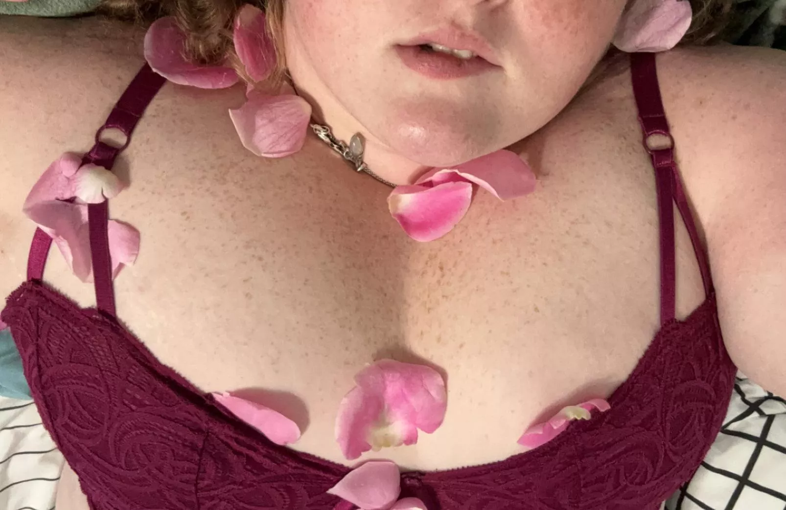 Roses posted by Hyacinth_5227