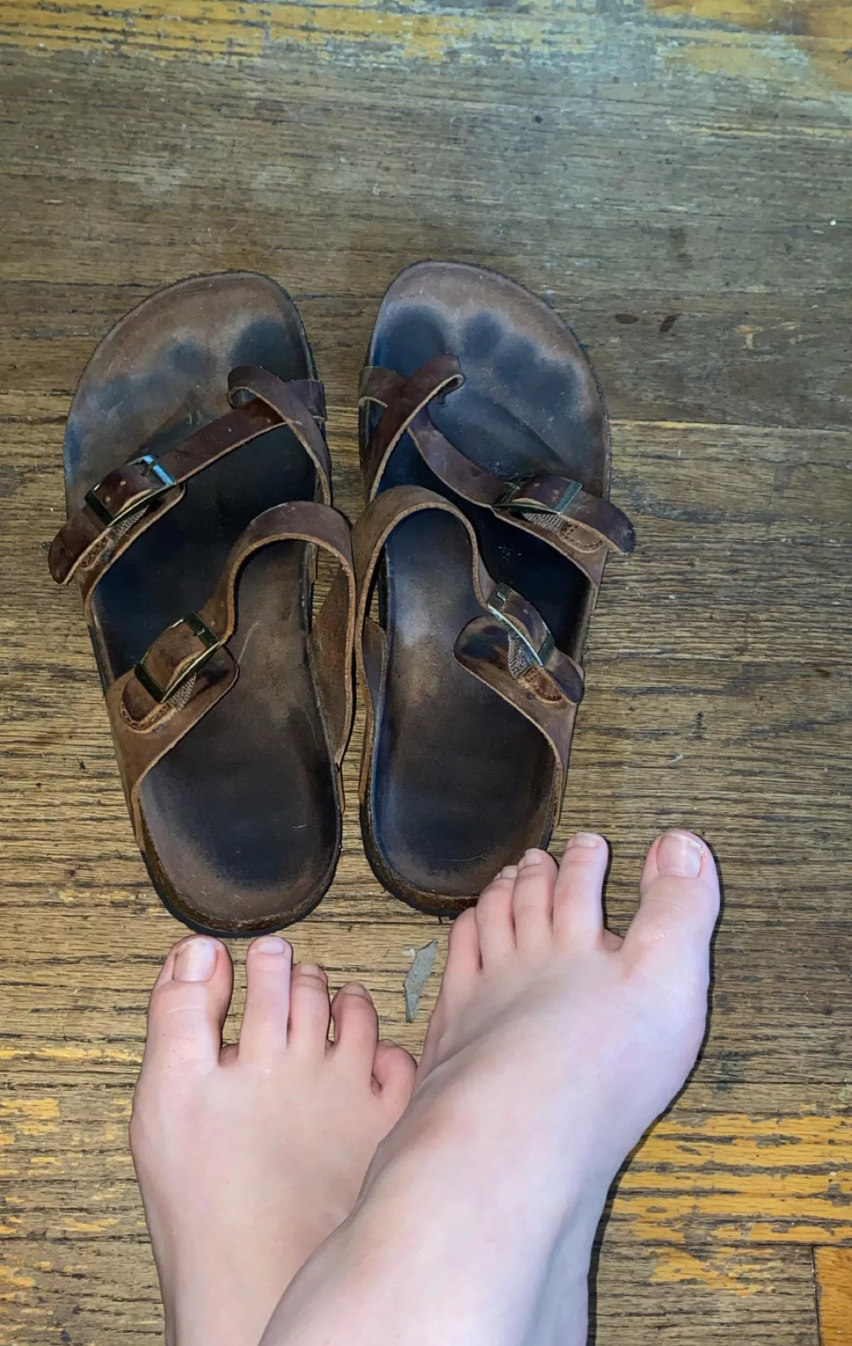 Staring, drooling, or asking to taste them?  posted by No-Spray5127