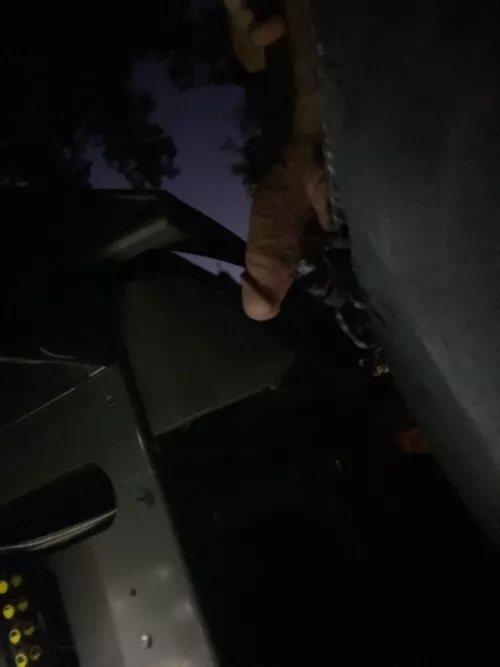 This meats not for the grill (30) by Nearby_Ad3300