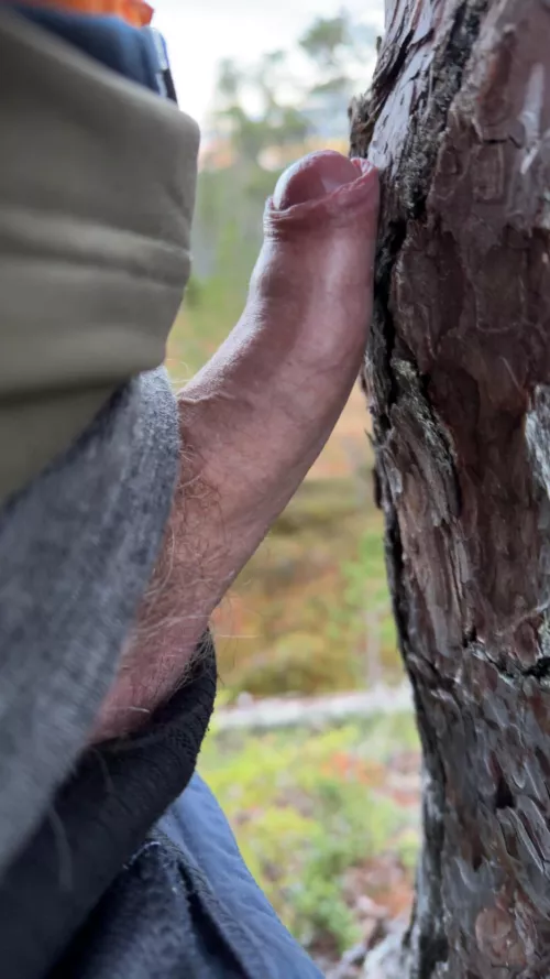 Trekking. by Legitimate_Mango205