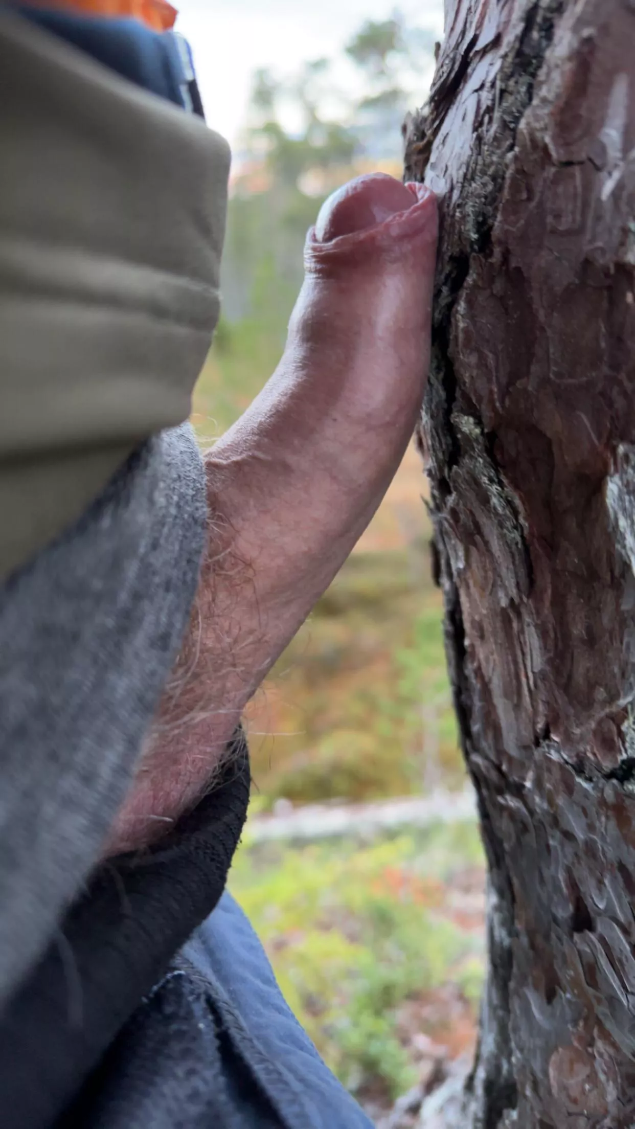 Trekking. posted by Legitimate_Mango205