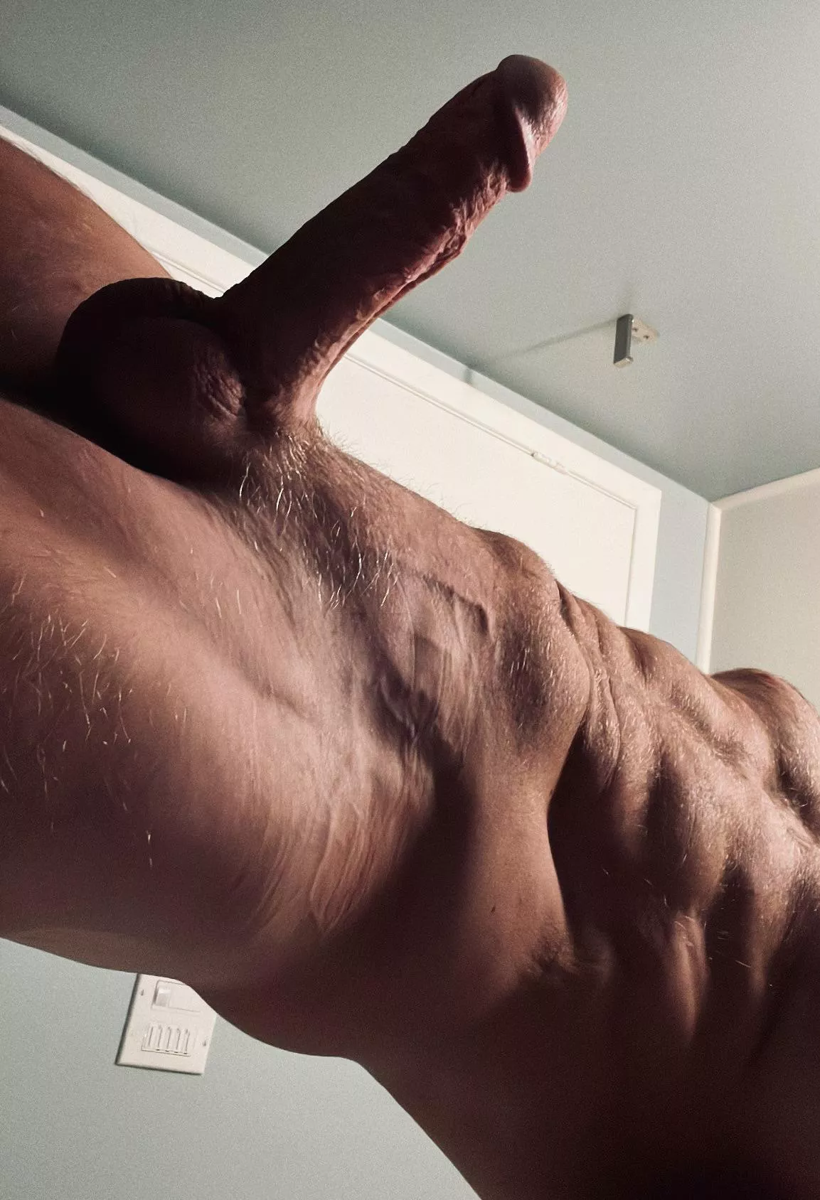 Upright posted by AdvancedBug8622