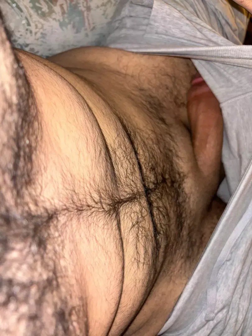 What u think? Arabic 23 190 cm by Stunning_Meeting9801