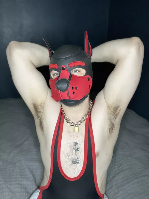 Who wants to sniff? by Arrowww9