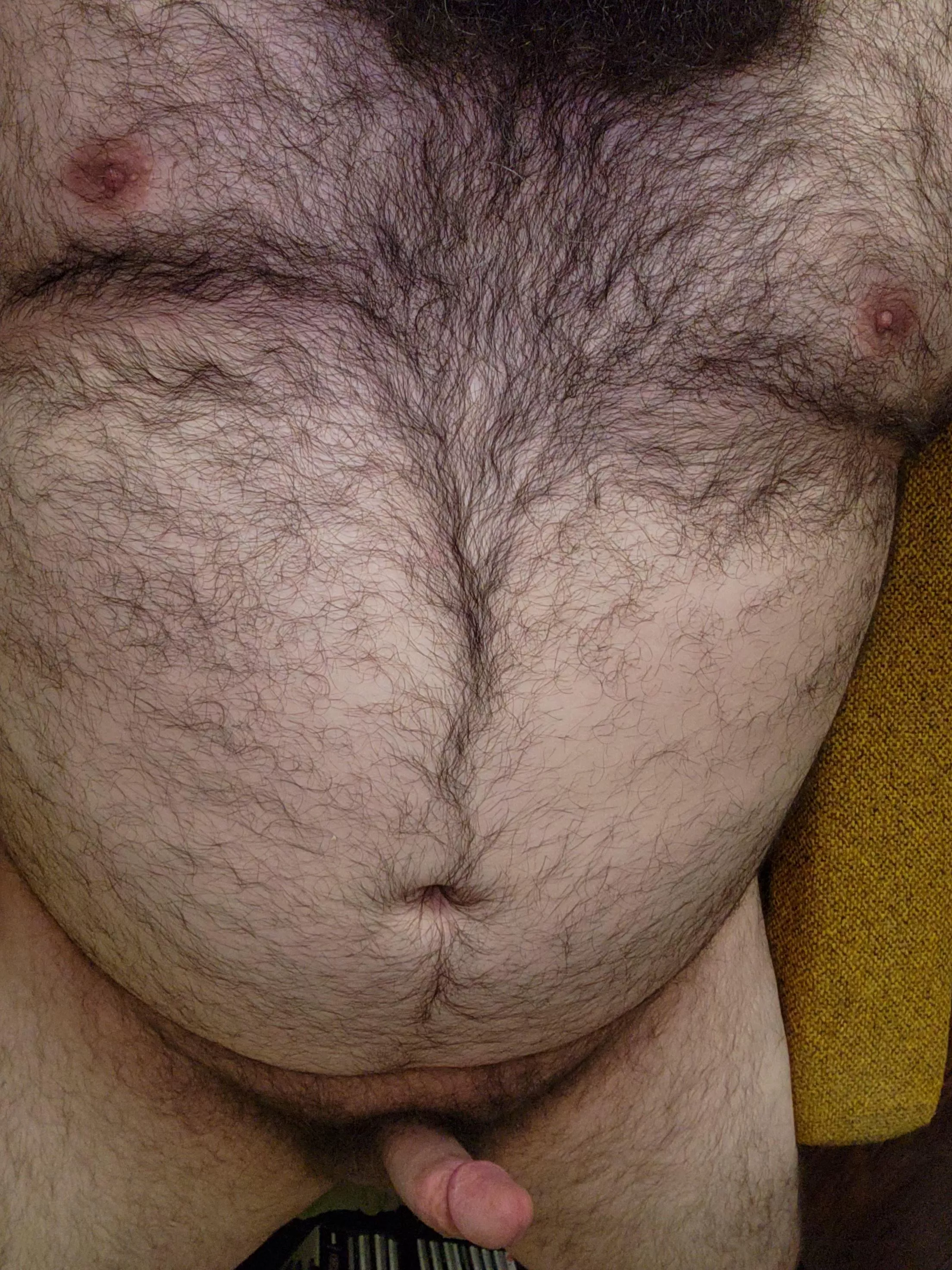 Why am I always so horny? posted by bigcheddar71