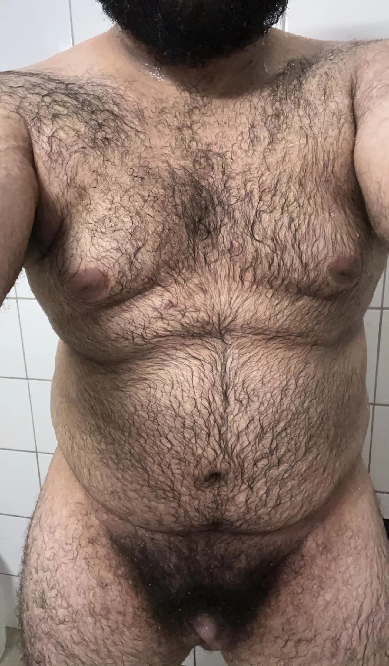 21 bottom bear, any man wants me? posted by MelAelZel