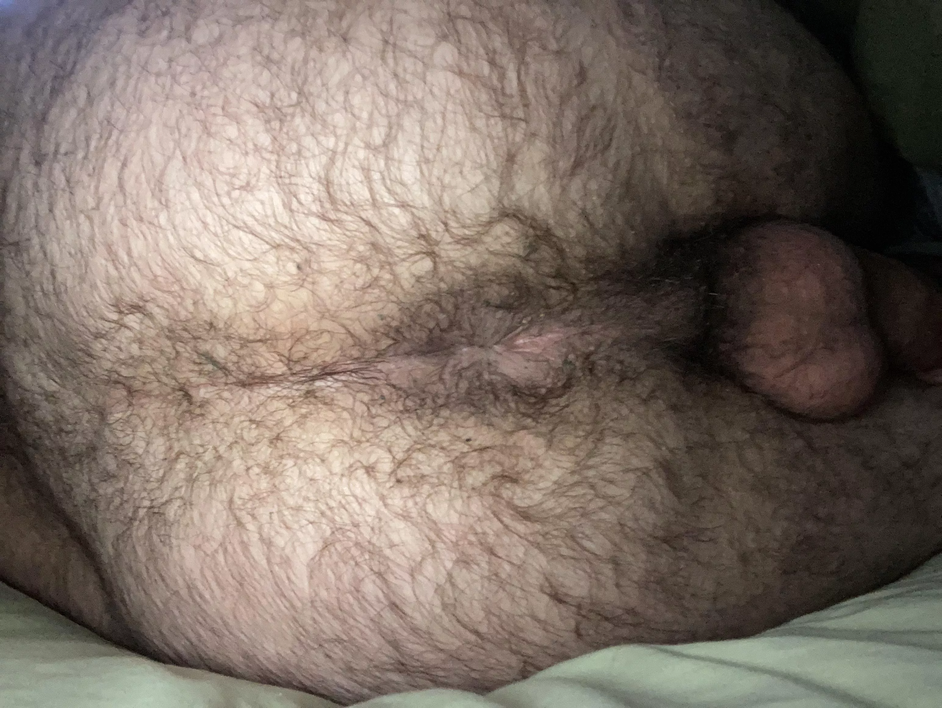 (27) Me and my hairy hole  posted by fast_turtle000
