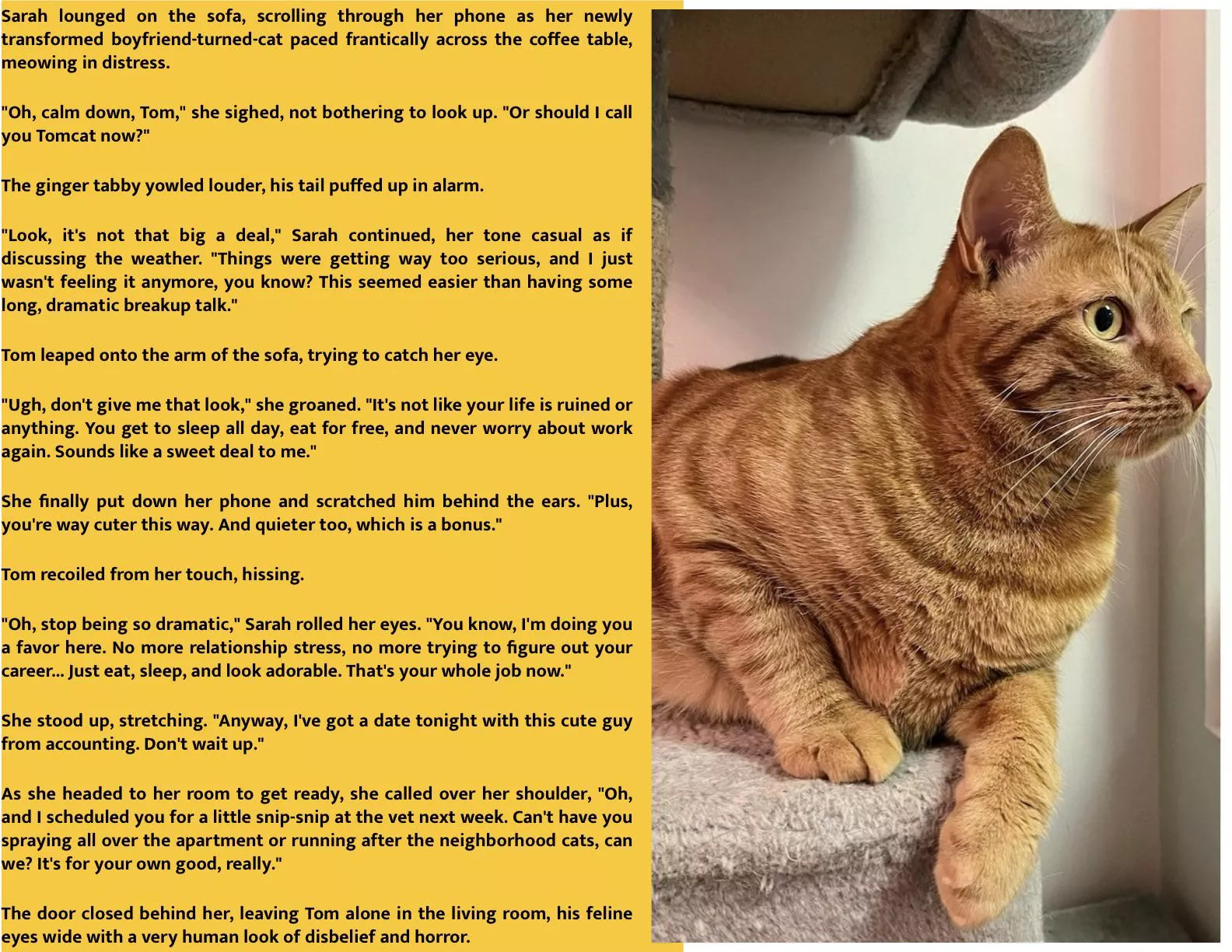 Cat TF caption posted by No-Pack3786