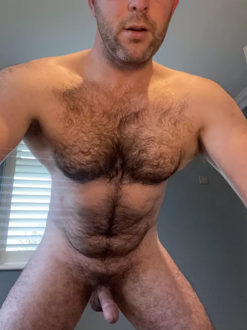 Do any ladies like a guy with some fur on top? 40 m uk, DMs are open by Mufty_UK