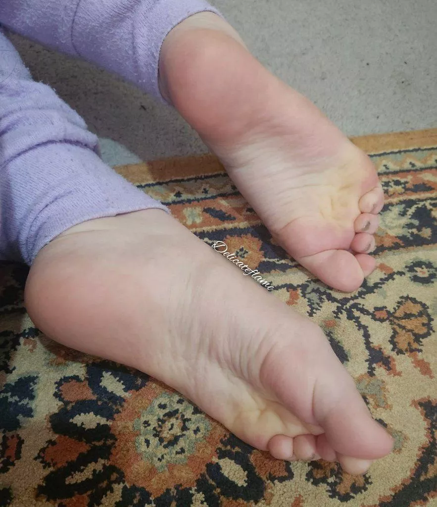 Don't stop staring at my feet  posted by Delicateflame