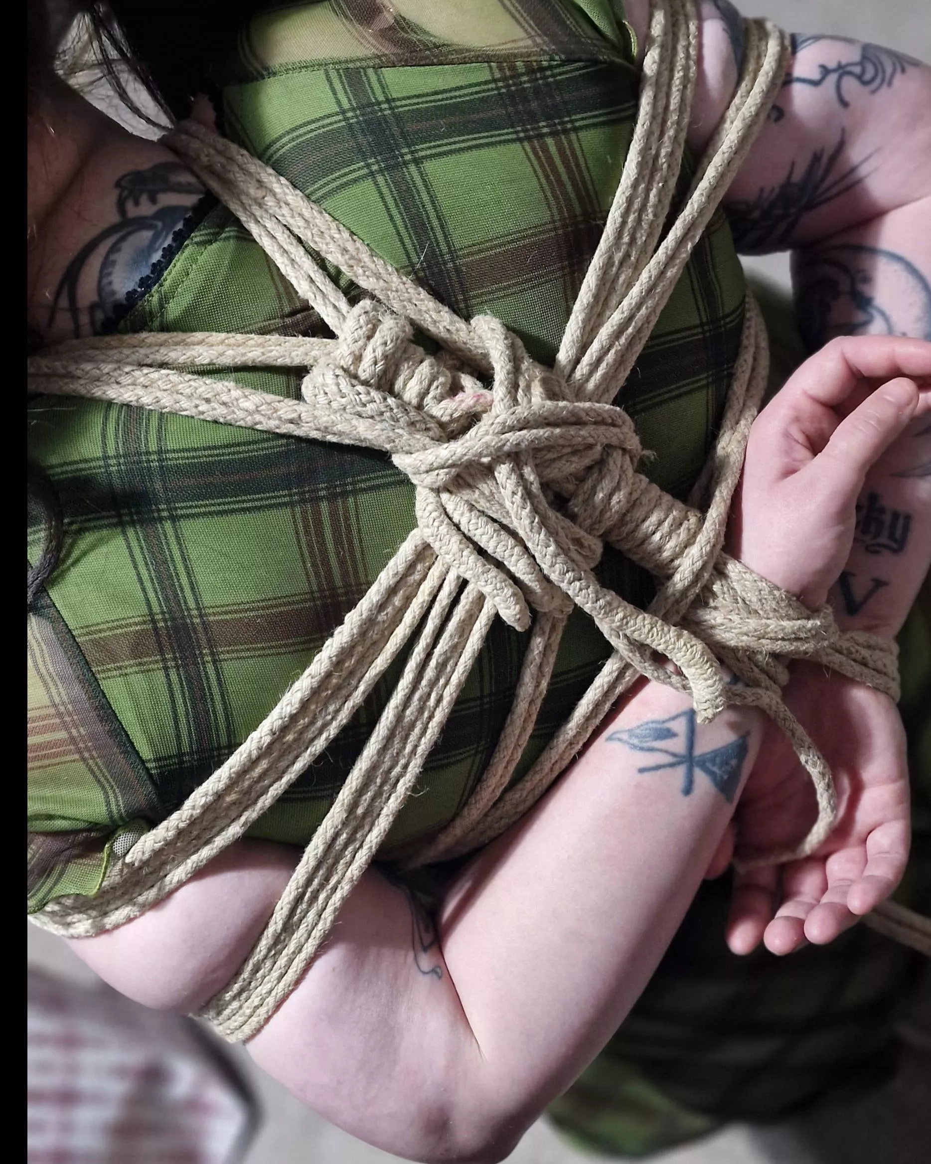 From a while back  posted by Enterrsshibarii