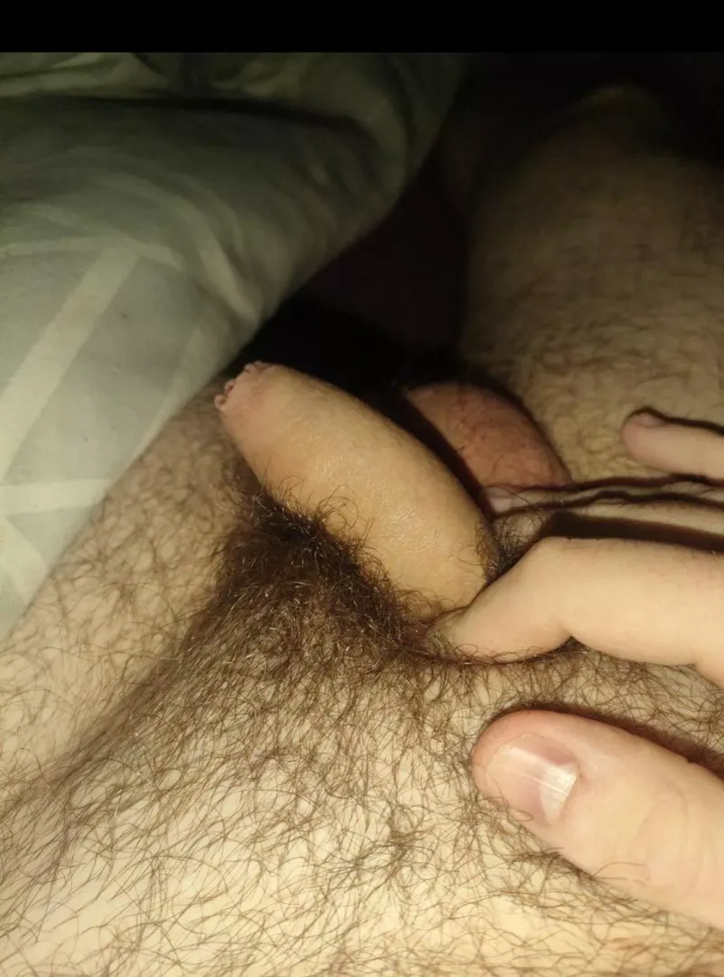 Humiliate me and put me in my place !! posted by [deleted]