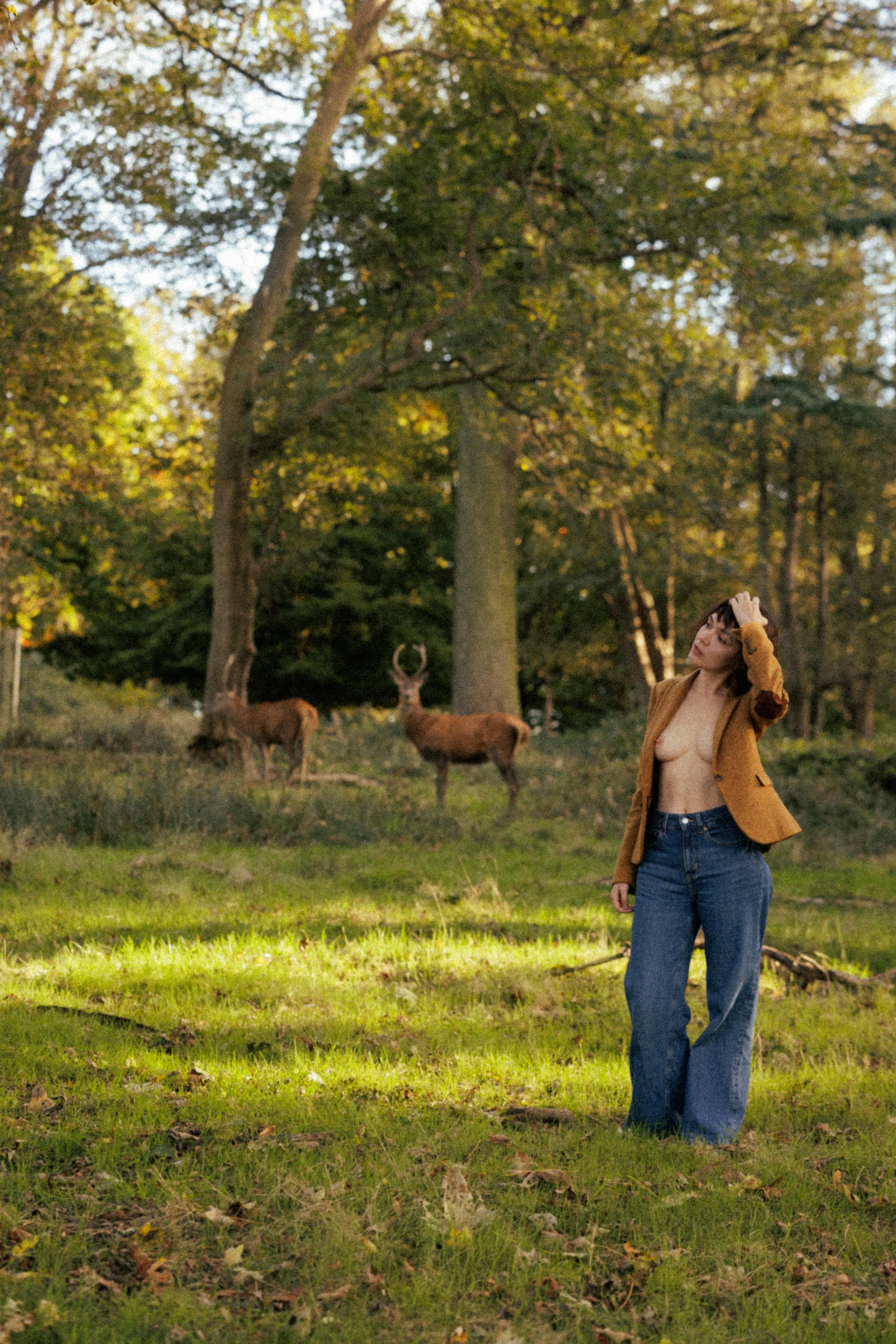 I have a new friends posted by PityCatHabbits