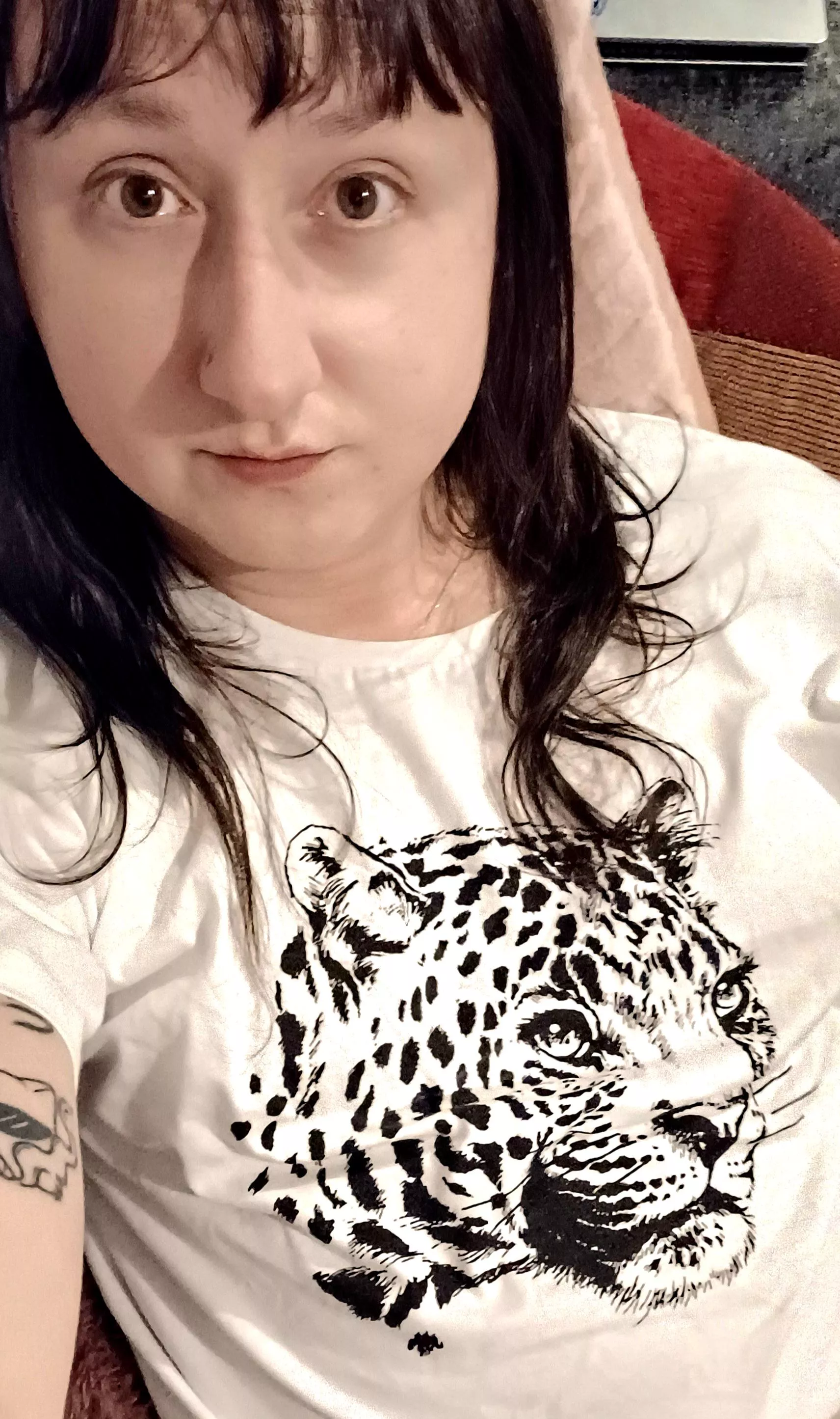 I'm very soft, plz be nice to me posted by GodzillasCatgirl