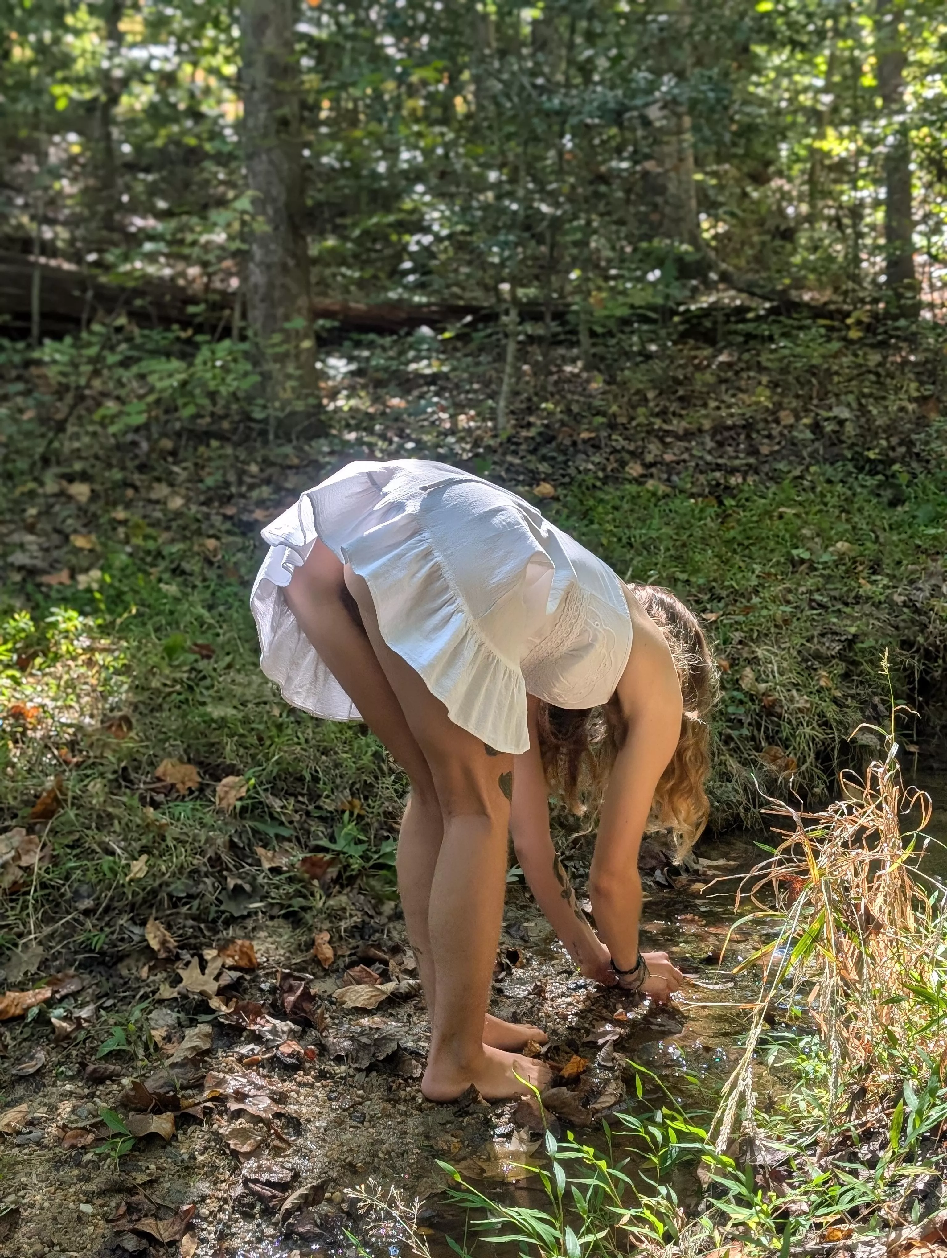 Let's look for crystals together! posted by Outdoorkitty333