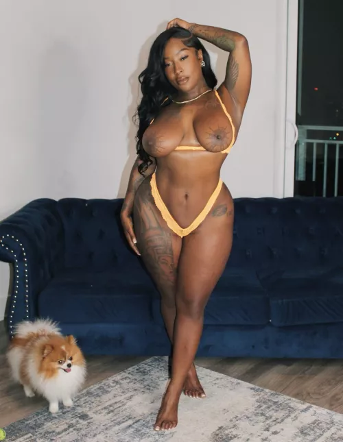 Let’s stay in by BarbeeBandz