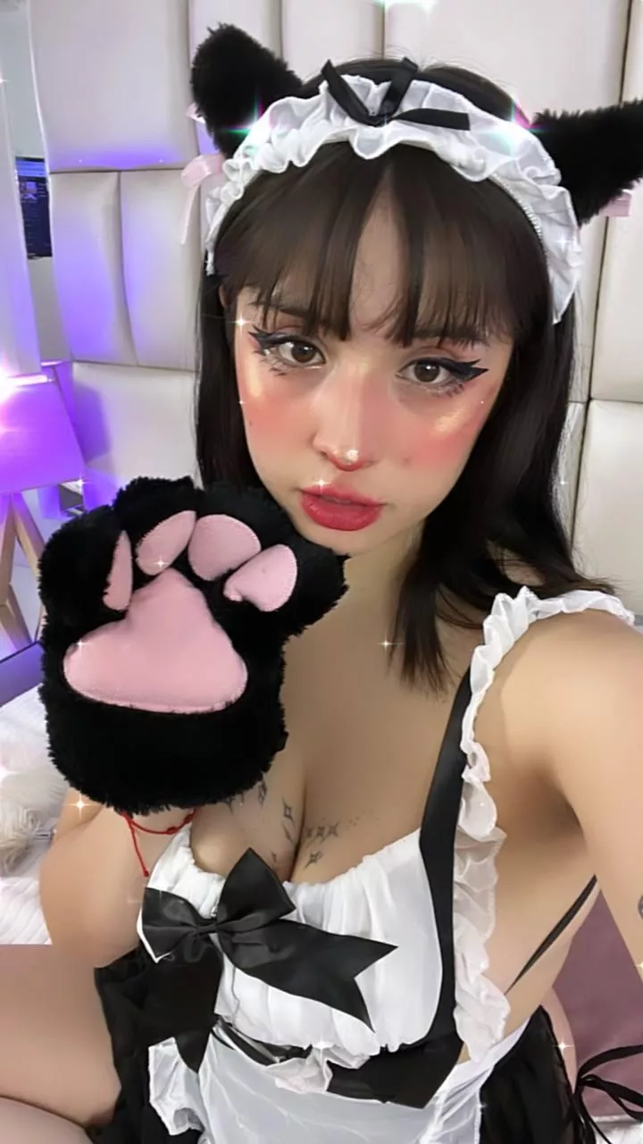 Meow, who wants to play some kinky games with me? posted by cutelilyyxo