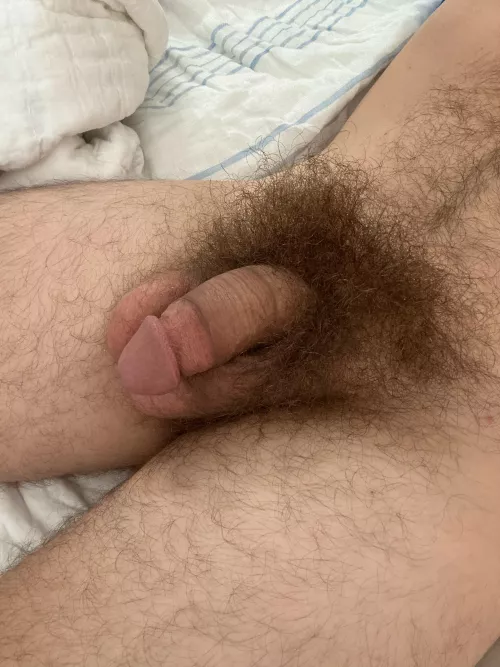 Morning musky bush. 😏  by Present_Structure_95