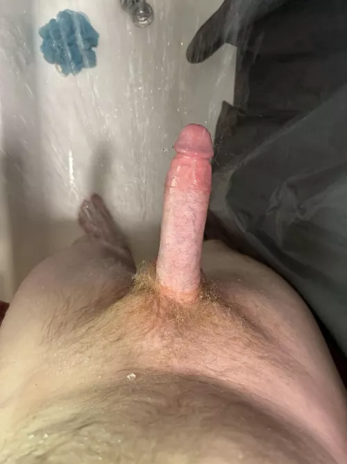 Mr. Red Bush checking in by Character_Project687