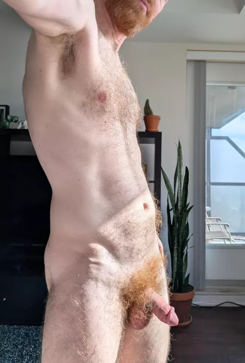 Run your hands through all my fur by responsive-banana