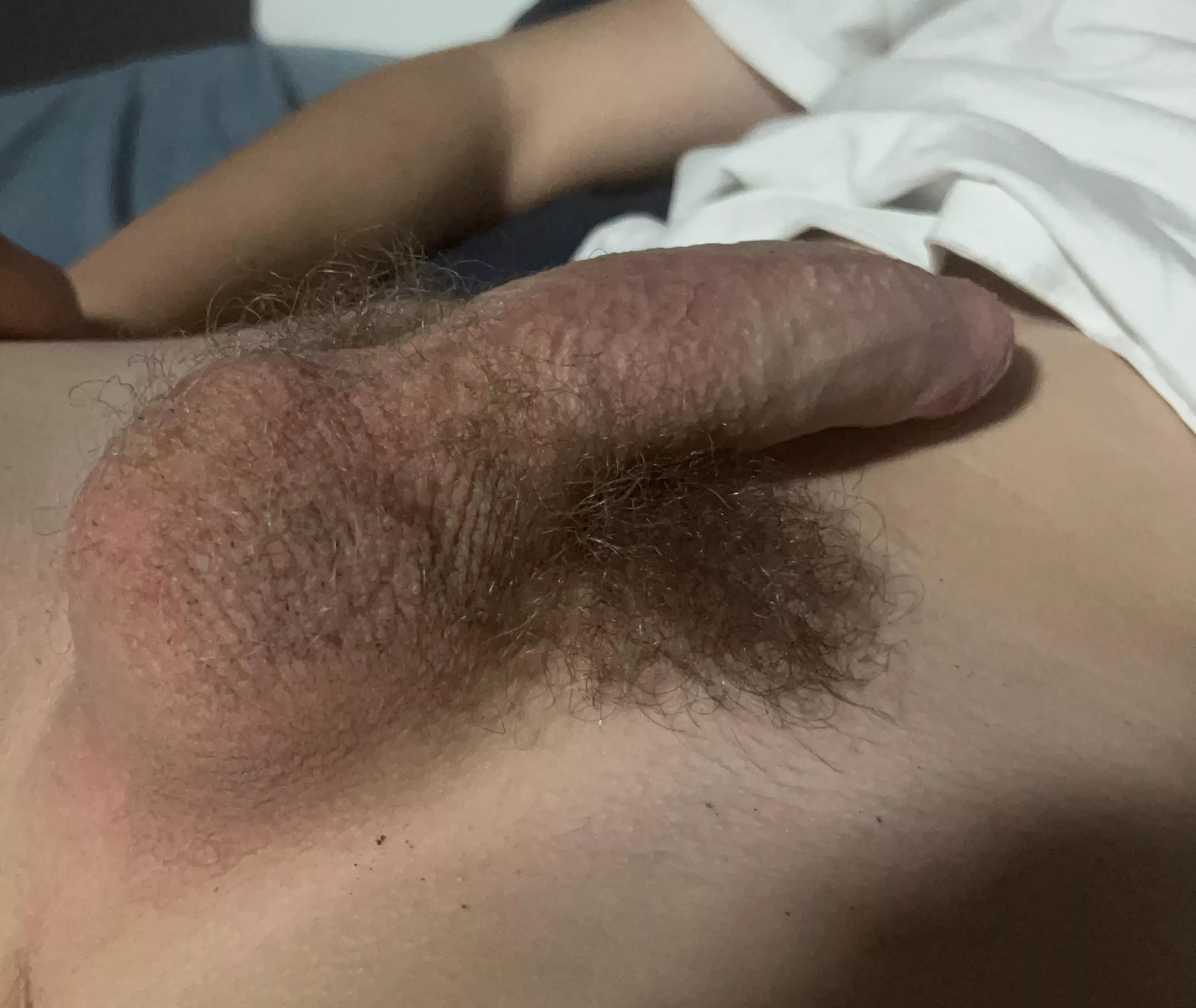 Teen balls [18] posted by PercentageExtra9622