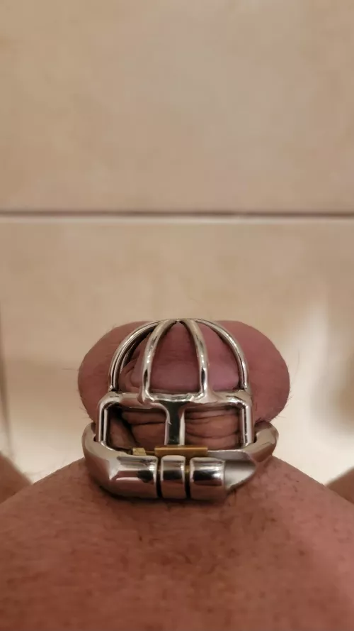 This month is my favorite month 😌 by sissygirltara3