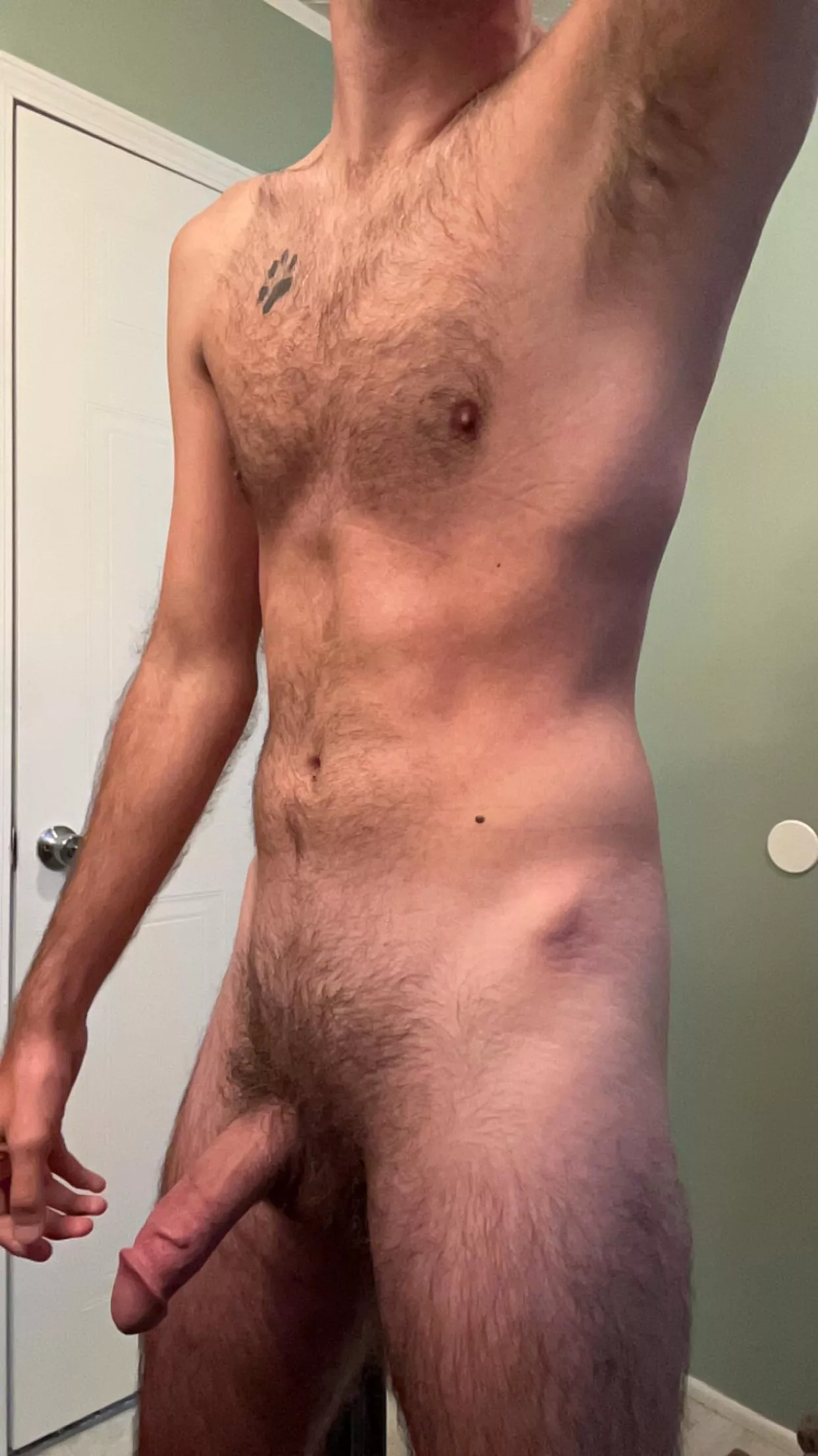 What do you want to sniff first? posted by GlobalMeringue679