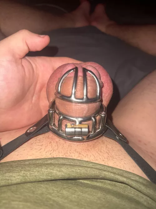 Where I’ll be for the next six weeks at least 😊 by PerpetualChastity