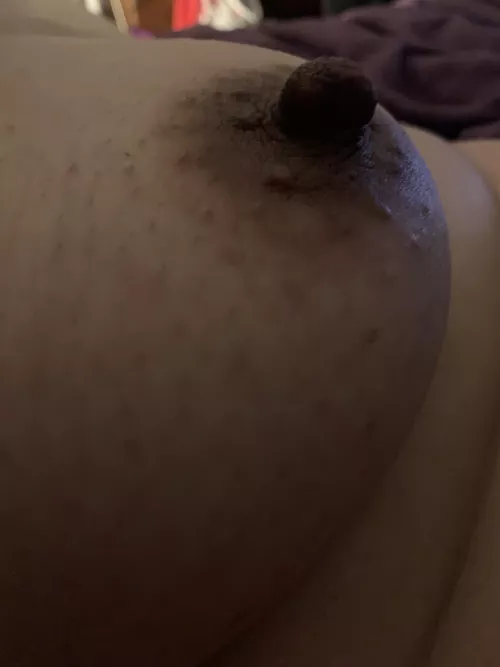 Who wants a nibble? by No-Team6318