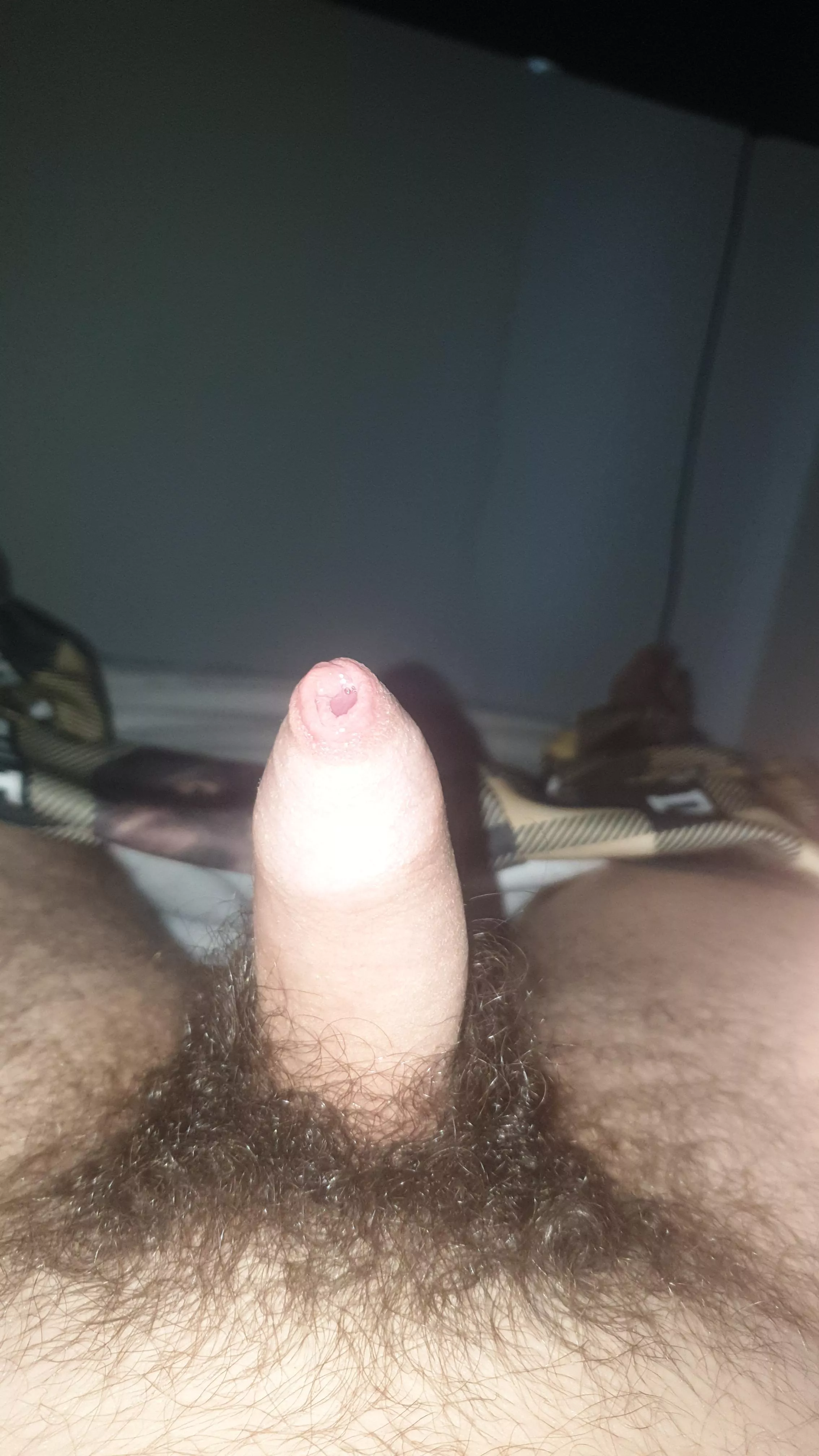 Will it get biggerv posted by OkLight4232