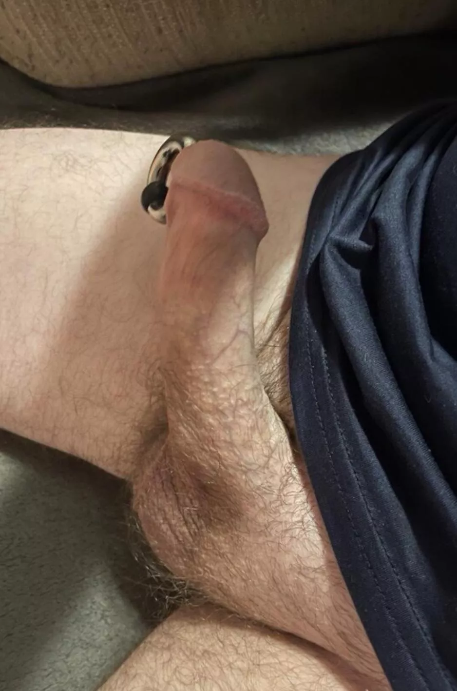 0 Gauge Prince albert: how does sex and general roughness work? posted by OpeningConfection261