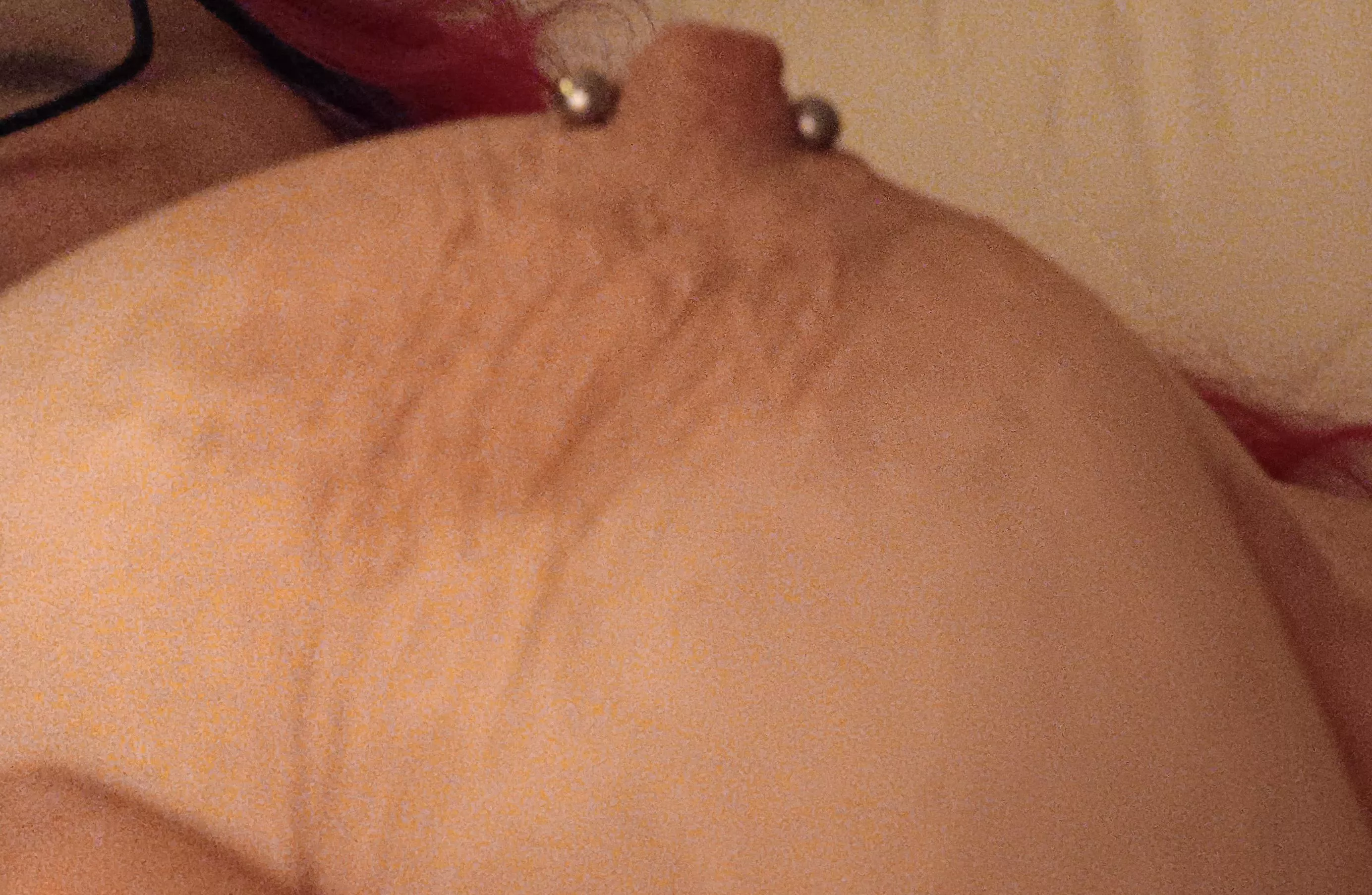 An Australian great white pointer  posted by BSweets66