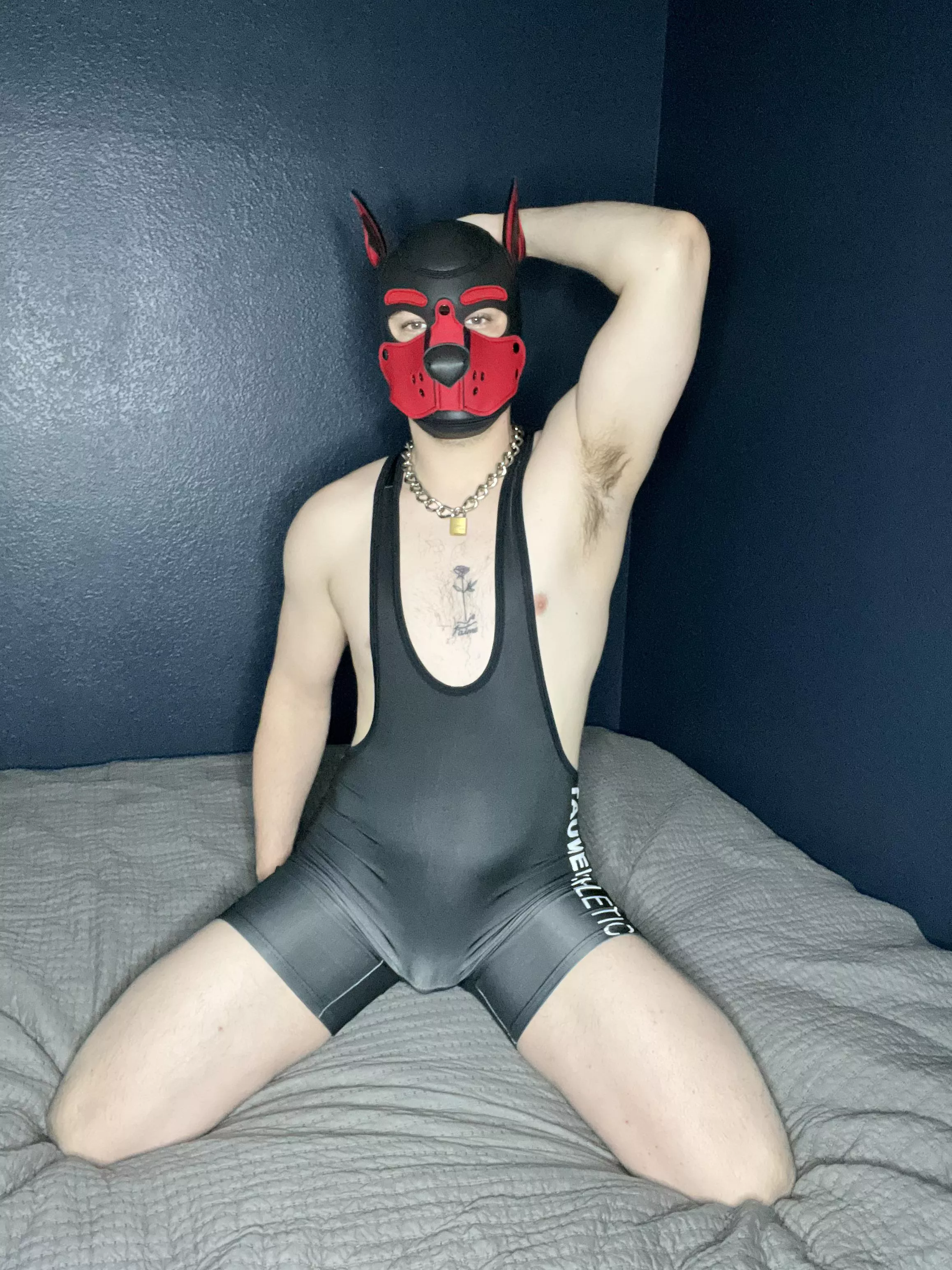 Awwrrooo posted by Arrowww9