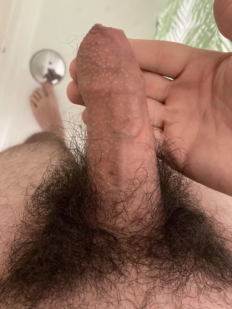 Covered and hairy 😥. What do you think? posted by andy990aaa90