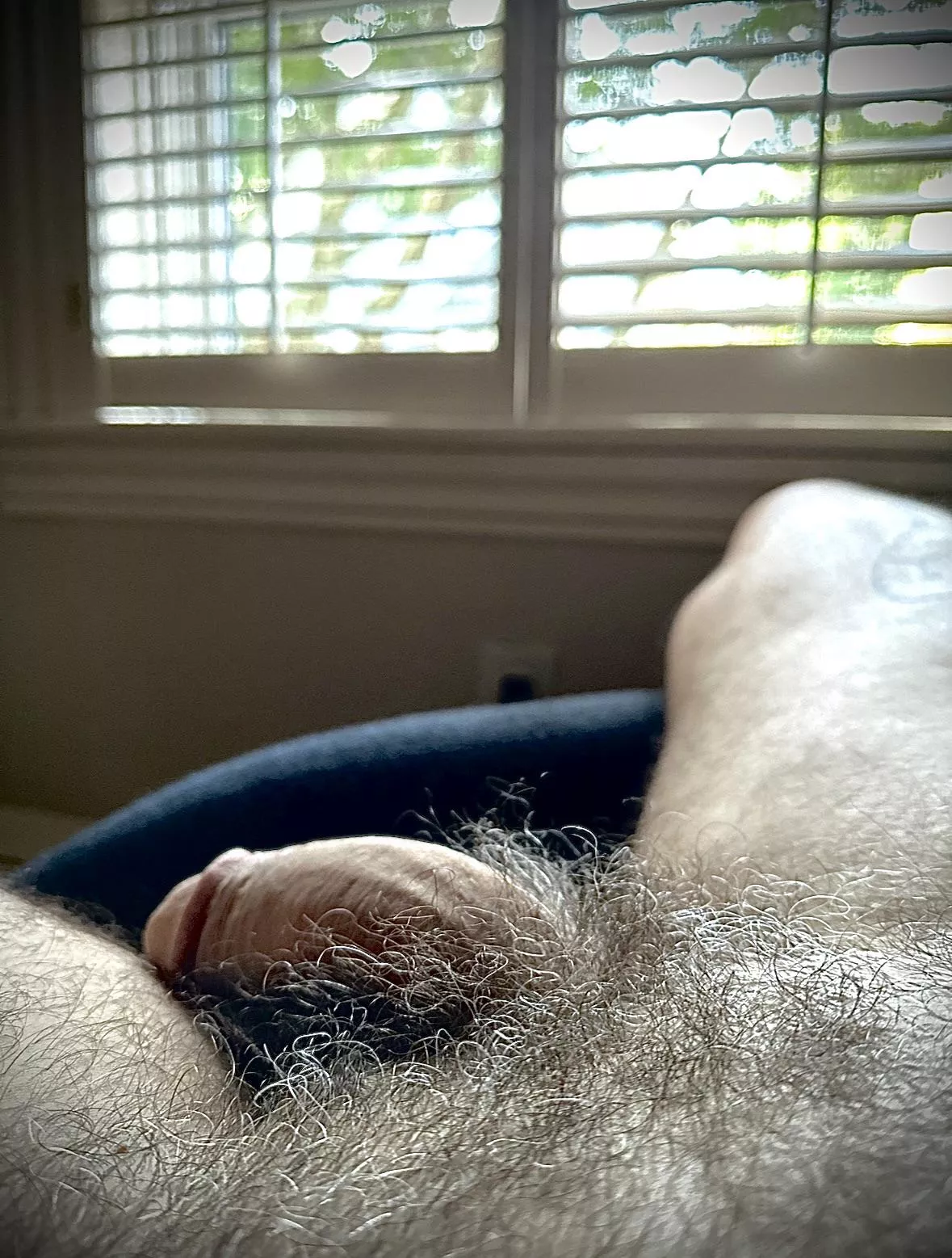 Fully natural.  posted by scottdiver67