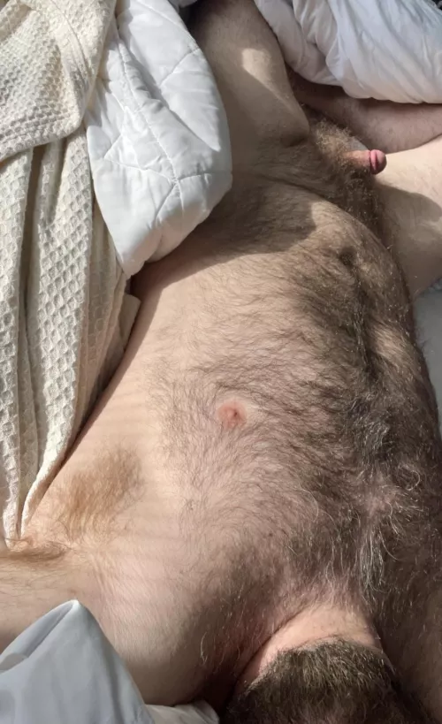 Hotel bed requests another guest  by tncurious