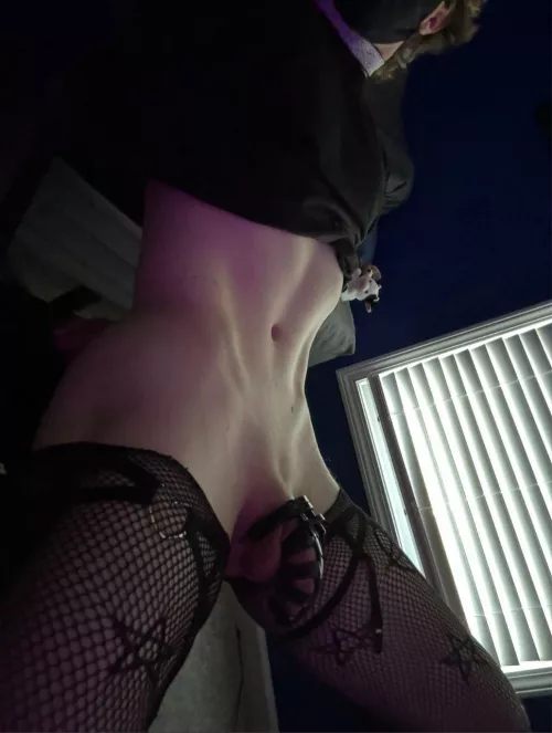 I feel so pretty in my cage by conniesins69