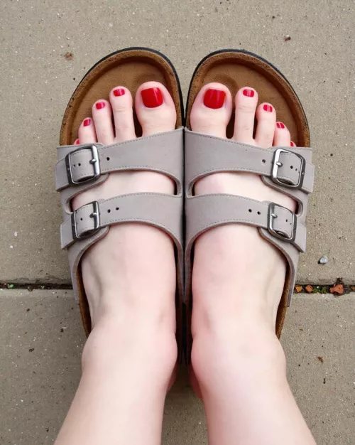 I just love Birks  by UsedSupermarket2517