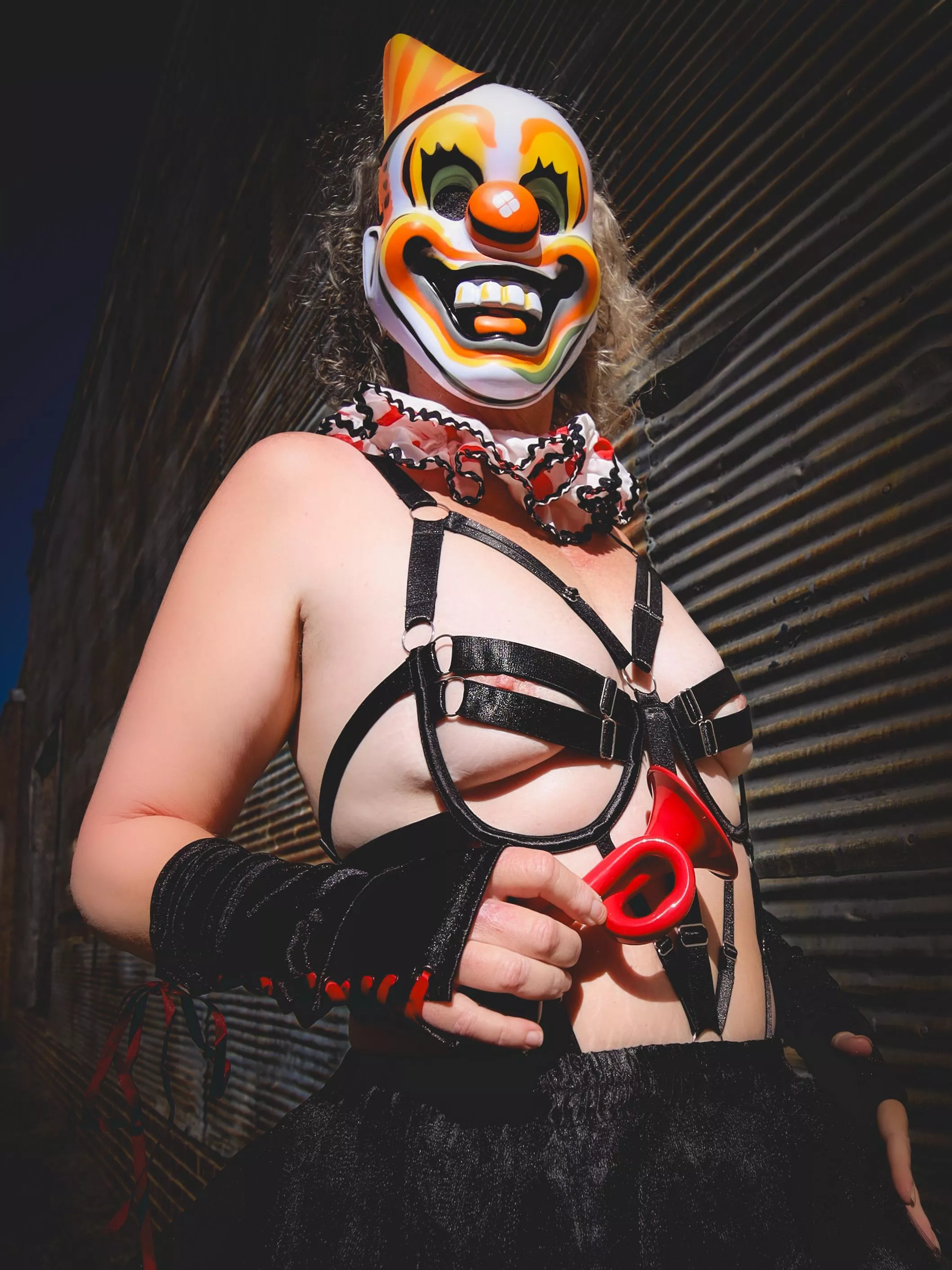 Just clowning around posted by Prof_Sillycybin