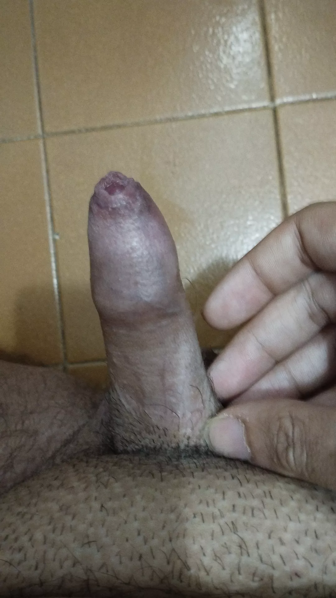 Just shaved for you guys  posted by Ok_Bid4545