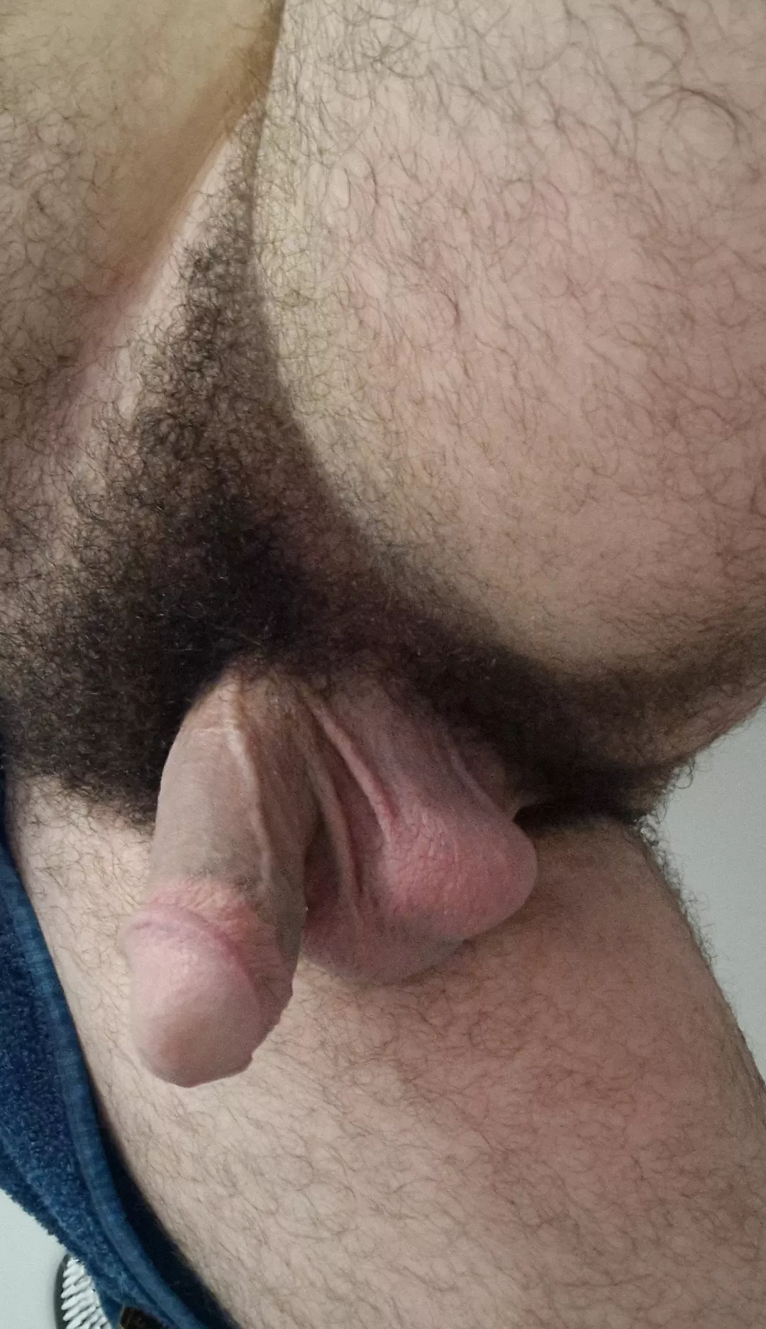 Moderate pubes ? posted by menntsht