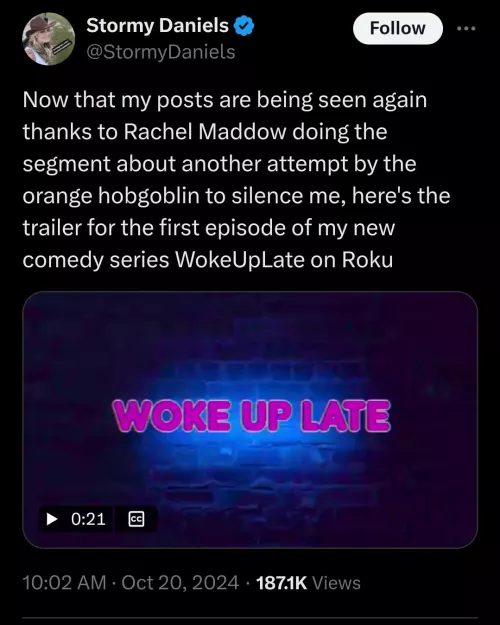 Stormy Daniels on Roku by rage_guy311