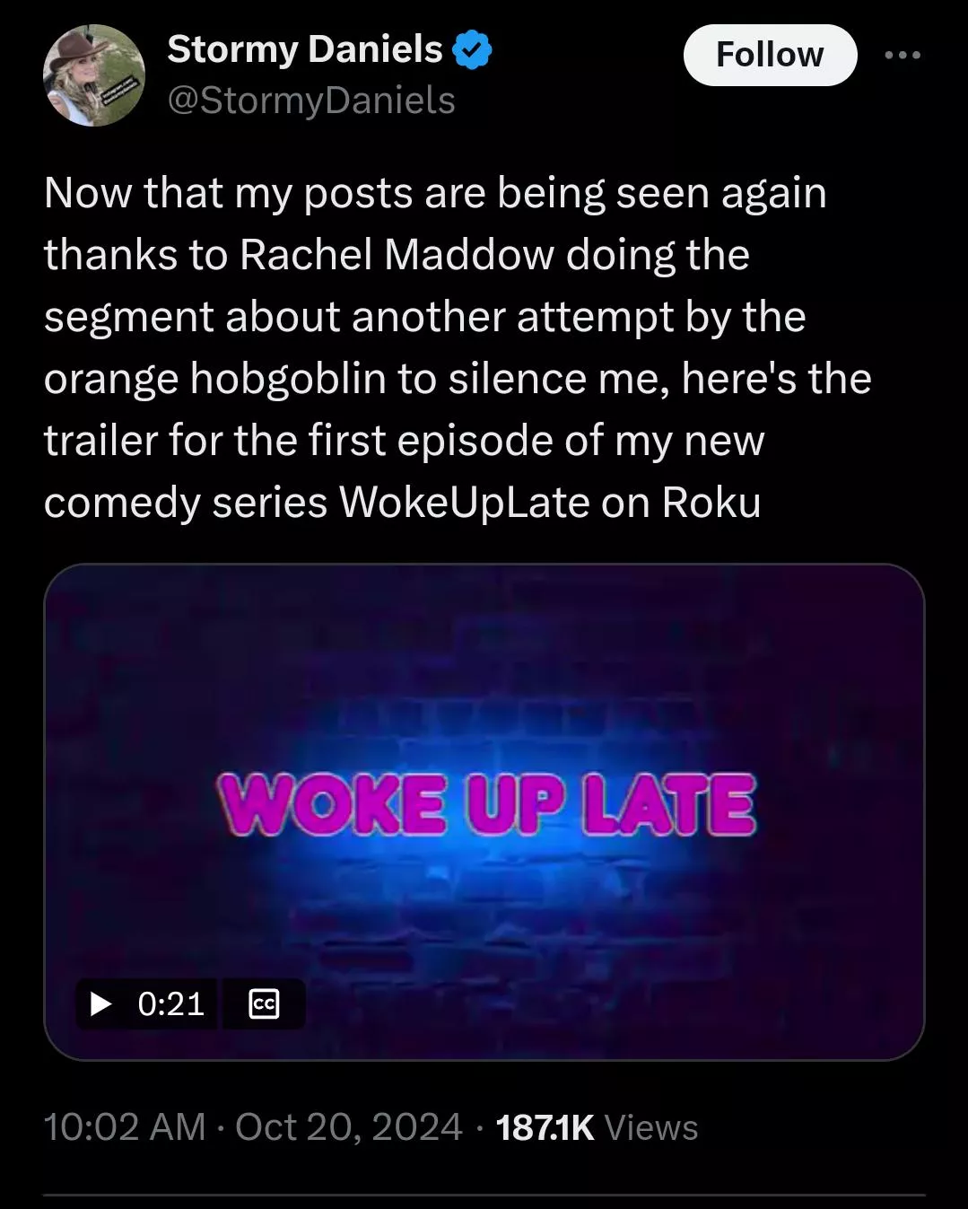 Stormy Daniels on Roku posted by rage_guy311