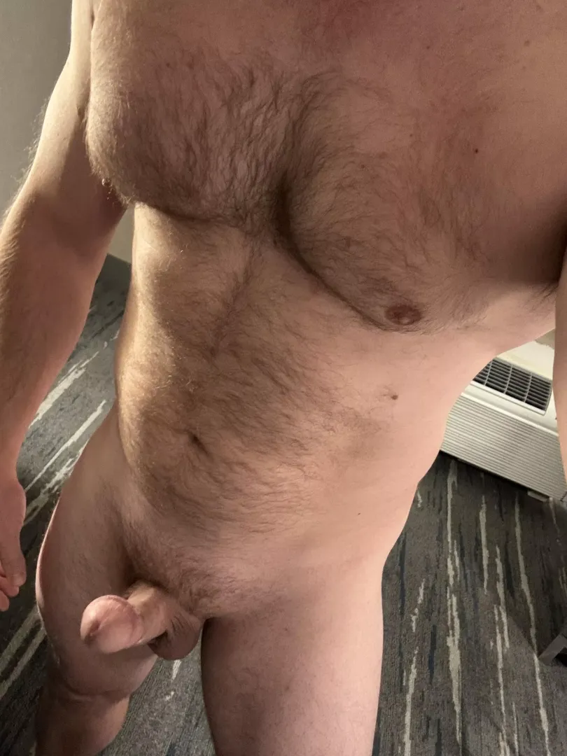 Sunday night is for the bears posted by DadAfterDark85