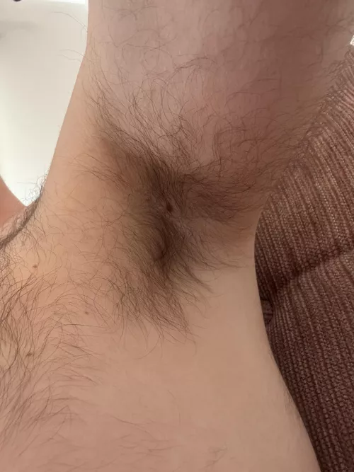 Unwashed morning pit by thisismythrowaway250