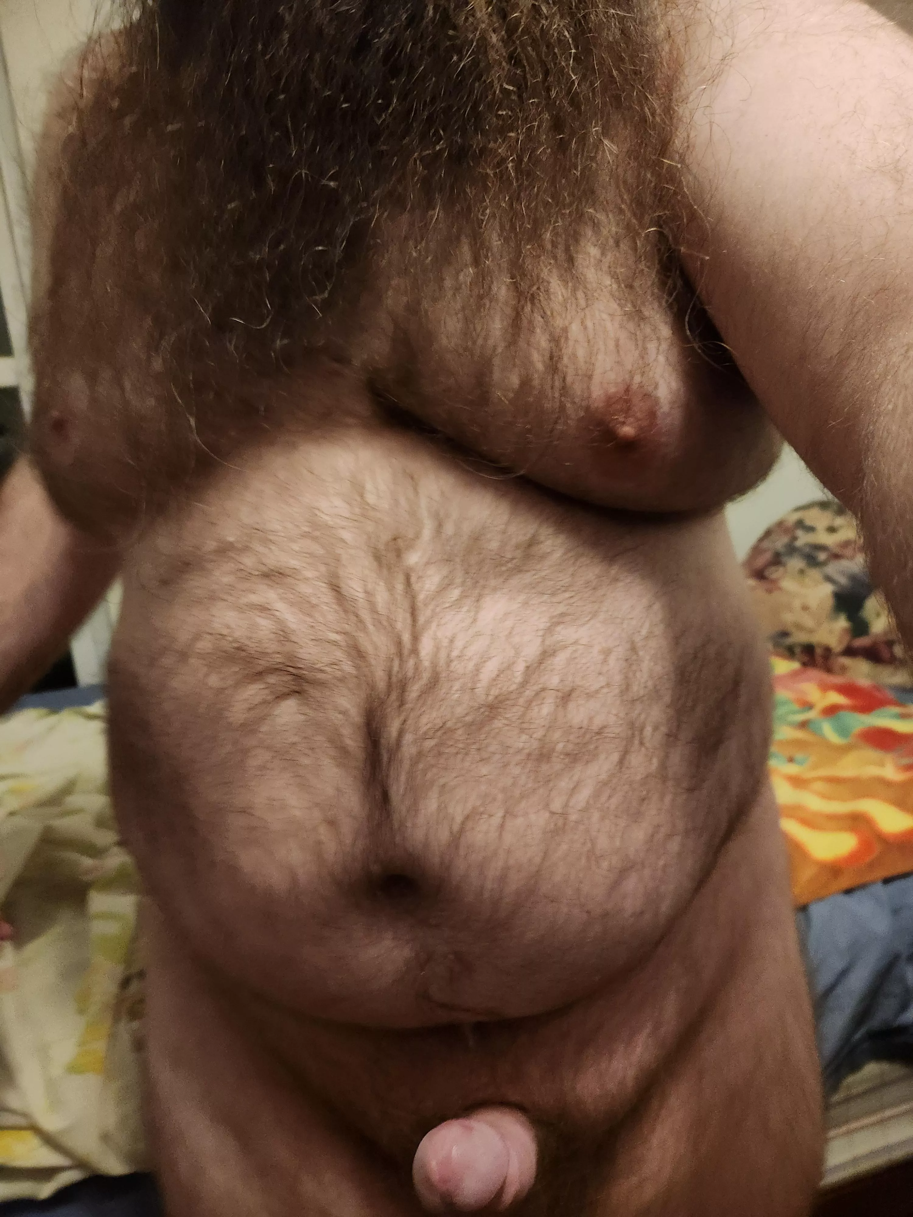 Bear hug posted by Foreign_Hall4200