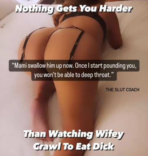 Big Dick Problems  by TheSlutCoach