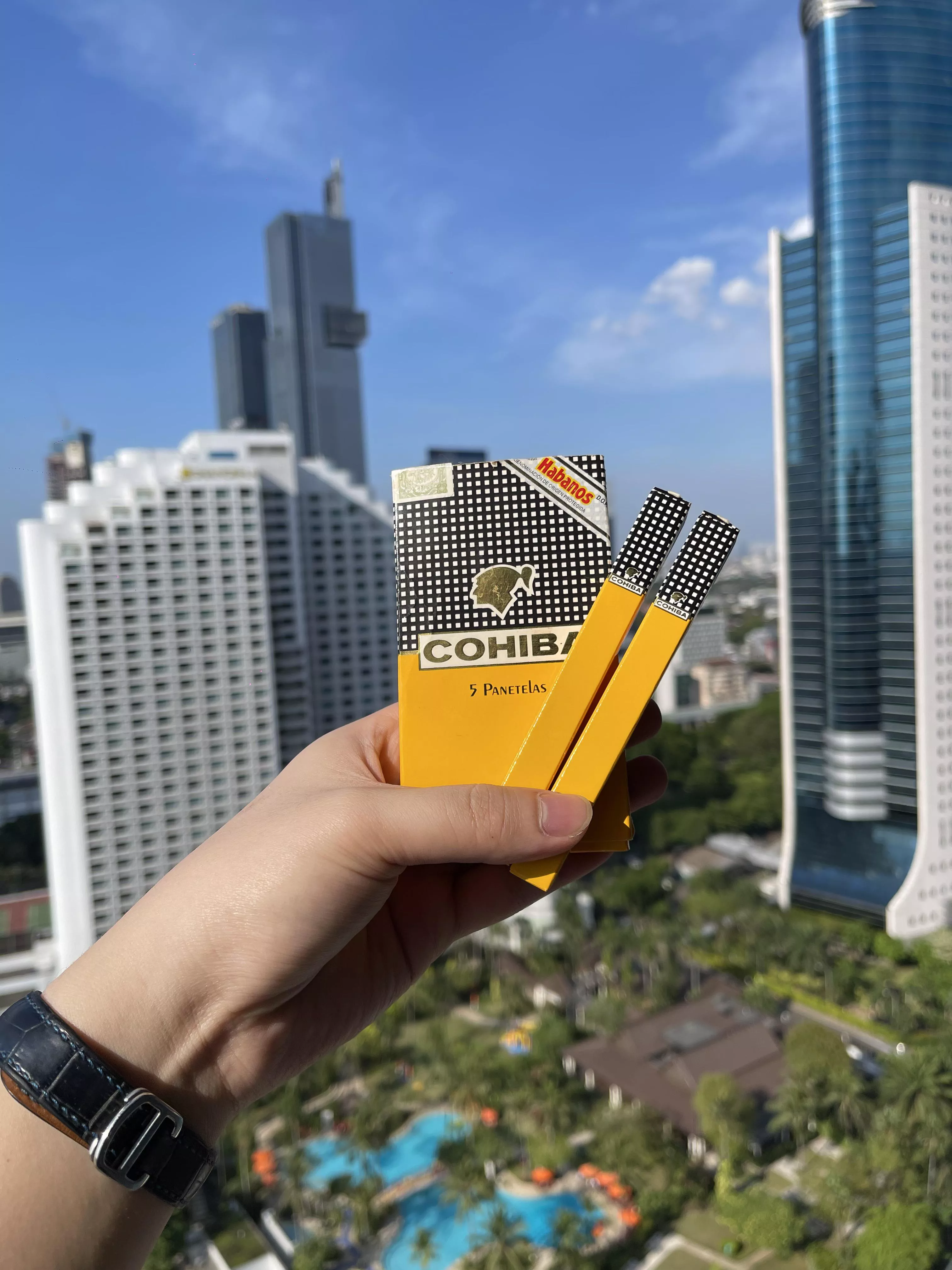 Cohiba Panetelas  posted by Rayvelvincent