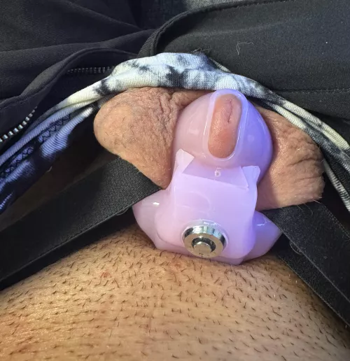 Day 21 am I ready for the flat cage yet? by fitdominance